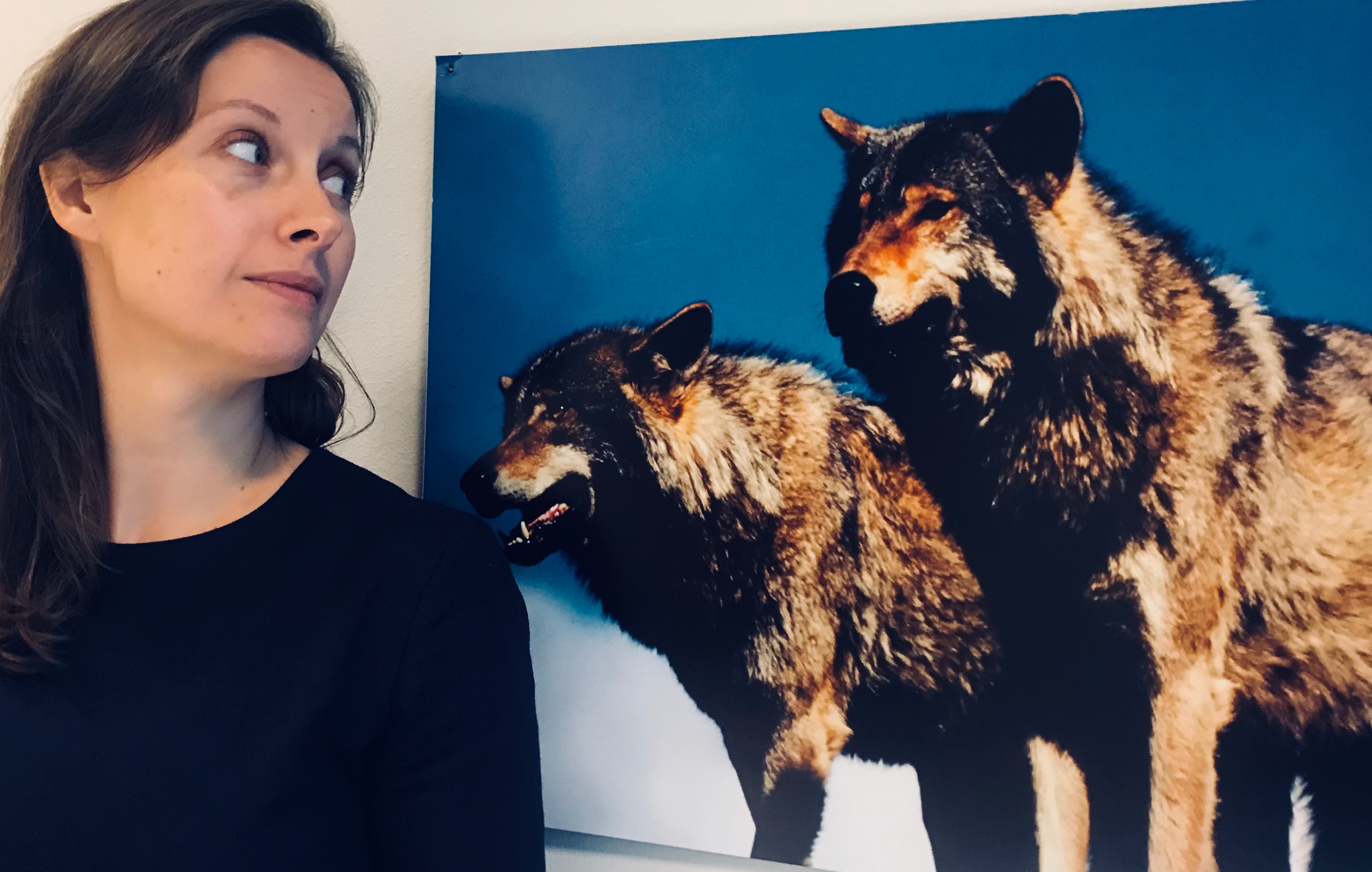 WWF's Ingrid Lomelde wants to protect Norwegian wolves